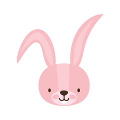 Isolated rabbit cartoon vector design