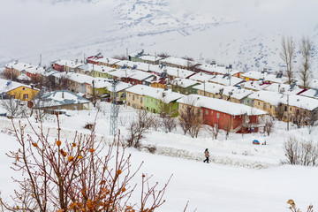 village in winter