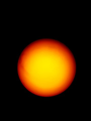 Sole