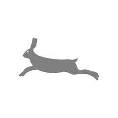 Hare runs icon - vector illustration. © Neoncat