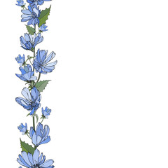 Floral vertical border with blue flowers chicory and green leaves on white. Hand drawn. Endless pattern brush. For your design, greeting cards, invitation. Copy space. Vector stock illustration.