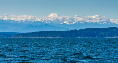 Mountains Over Evergreens