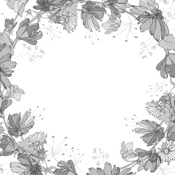 Monochrome floral cute frame with gray wildflowers on white background.Place for your text.Hand drawn. Background for wedding invitations, cards, textile, posters, web page. Vector stock illustration.
