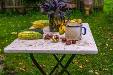 Obst und Früchte im Herbst