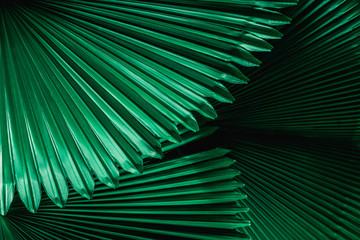 abstract green leaf texture, dark blue tone nature background, tropical leaf