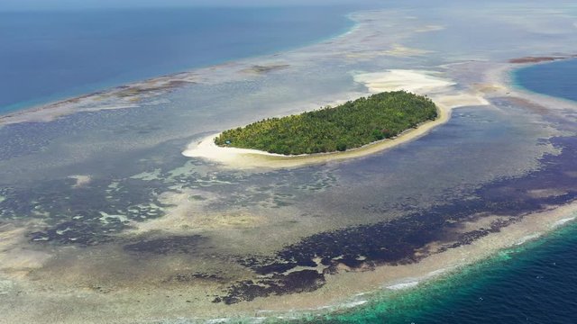 The idyllic, tropical island of Koon, in the Ceram Sea, is surrounded by a large, seagrass-covered reef flat. The dramatic reefs around this remote island are full of schooling fish and corals.