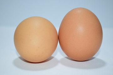Two eggs on a white background