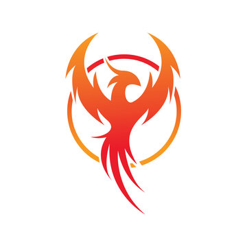 Flying Phoenix Fire Bird abstract Logo design vector template. Circle Dove Eagle Logotype concept icon. Vector high quality design