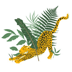 Jungle Leopard Tiger Leaf