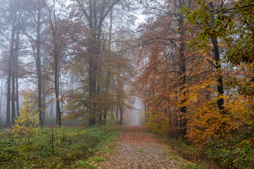 Fototapeta premium Novemberwetter