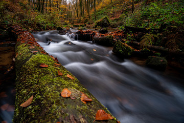 Karlstal / Karlstalschlucht bei Trippstadt im Pfälzerwald, Bachlauf als Langzeitbelichtung