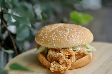 chicken burger or hamburger