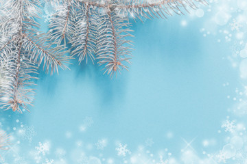 Christmas fir branches on blue paper background