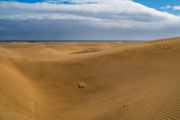 Fototapeta na wymiar Amazing sand dunes during sunny and windy day in the Natural Reserve of Dunes of Maspaloma in Gran Canaria with sand dust, Canary Islands, Spain