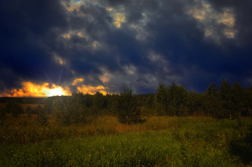 Summer landscape in the forest against the backdrop of a beautiful sunset.
