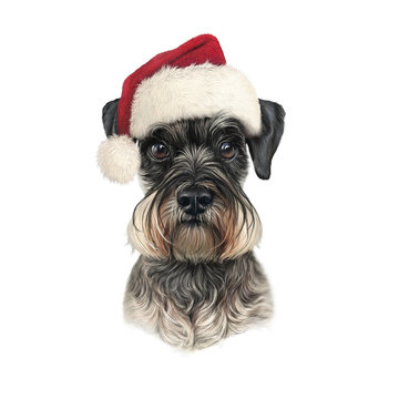 Dog in Santa hat isolated on white background. Illustration of the Scottish Terrier dog in Christmas Hat. Christmas and New Year card, t-shirt composition. Art background. Design template