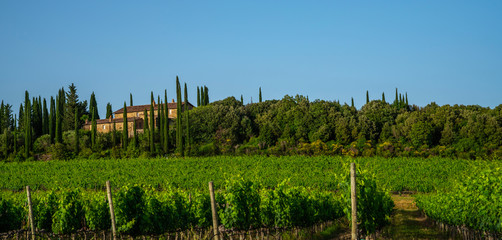 Village, vineyards and countryside landscape in Pisa Tuscany, Italy Europe.