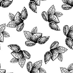 Seamless pattern of hand drawn sketch style almonds isolated on white background. Vector illustration.