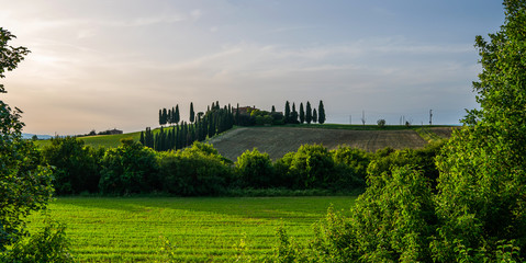 Tuscany, rural landscape. Rolling hills, countryside farm, cypresses trees, green field on warm...
