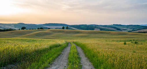 Majestic view of typical Tuscany countryside nature landscape sumset. Beautiful hills, fields and rural road. Italy, Europe.
