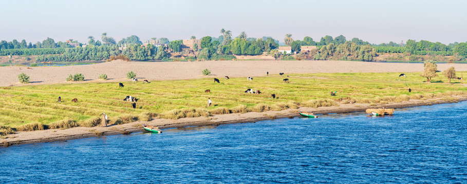  Nile Farming Midstream Panorama-