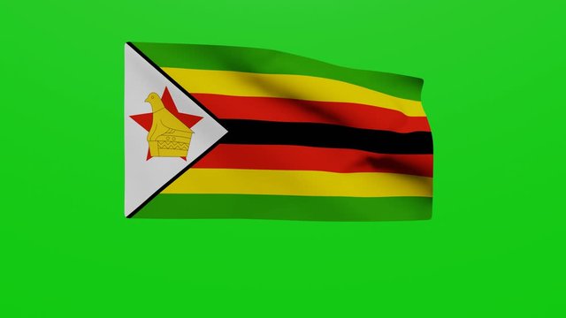 Bandera Zimbabue. V&iacute;deo	