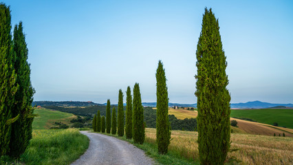 Majestic view of typical Tuscany countryside nature landscape. Beautiful hills, fields and rural...