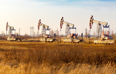 Fototapeta na wymiar Oil rocking in the field. Oil production in Russia, Republic of Bashkortostan. Industrial landscape. Autumn