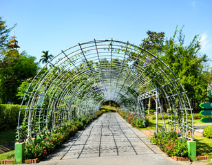 Greenhouse in the garden 