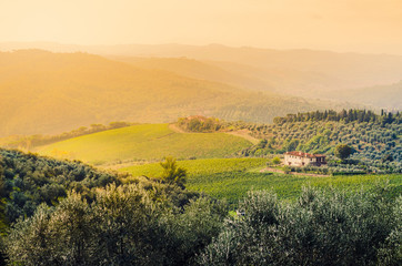 Fototapeta na wymiar Under the golden sun of Tuscany, beautiful landscape 