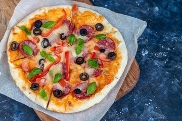 Delicious pizza with salami, sweet pepper, olives, mozzarella and basil. On a dark background. Copy space for text. Banner. 