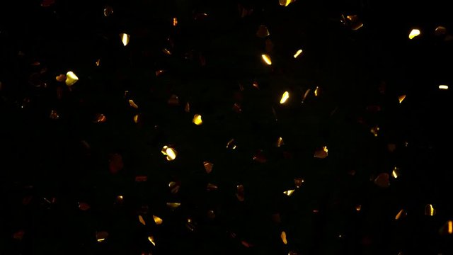 Super slow motion of flying golden confetti hearts shapes on black background. Filmed on high speed cinema camera
