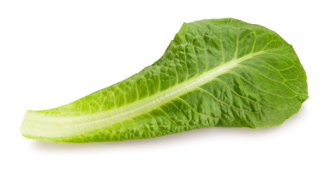 romain lettuce