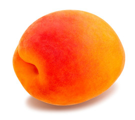 apricot