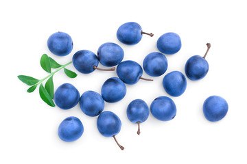 Blackthorn or Sloe berries with leaves isolated on white background. Prunus spinosa. Top view. Flat...