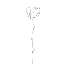 Rose silhouette, continuous line drawing. Vector illustration
