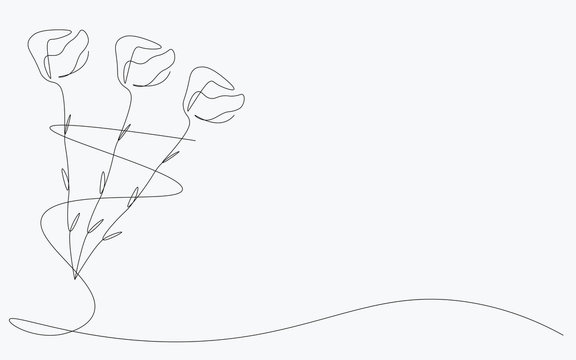 Roses background, continuous line draw. Vector illustration