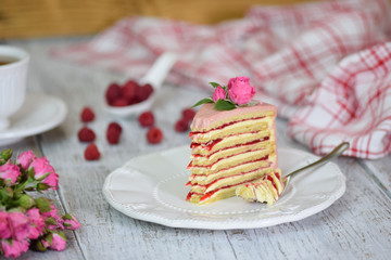 Slice Of Layered Creamy Fruit Cake. Raspberry Layer Cake.