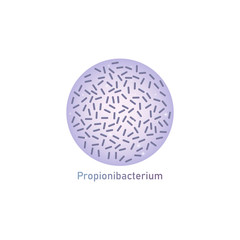 Propionibacterium genus of bacteria or food ferment vector illustration isolated.