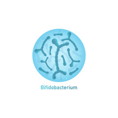 Bifidobacterium or lactobacillus microorganism vector illustration isolated.