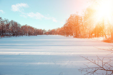 Winter landscape. Winter december  wonderland scene. Christmas, New Year postcard design. Wintertime magic.