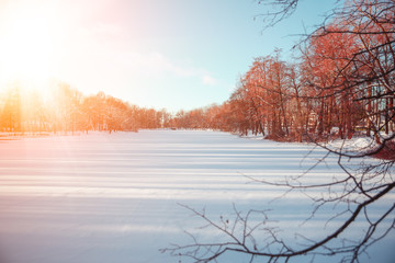 Winter landscape. Winter december  wonderland scene. Christmas, New Year postcard design. Wintertime magic.