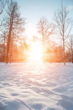 Winter landscape. Winter december  wonderland scene. Christmas, New Year postcard design. Wintertime magic.