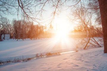 Winter landscape. Winter december  wonderland scene. Christmas, New Year postcard design. Wintertime magic.