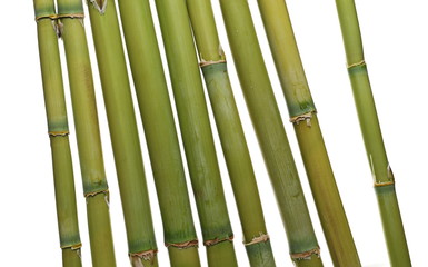 Obraz premium Bamboo bars isolated on white background and texture