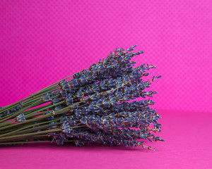Photo of a bouquet of dried blue lavender on a pink background front view.