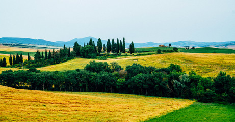 Tuscany, rural autumn landscape. Countryside farm, cypresses trees, green and gold field. Italy, Europe.