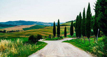 Fototapeta na wymiar Tuscany, rural autumn landscape .Beautiful hils and rural road. Countryside farm, cypresses trees, green and gold field. Italy, Europe.
