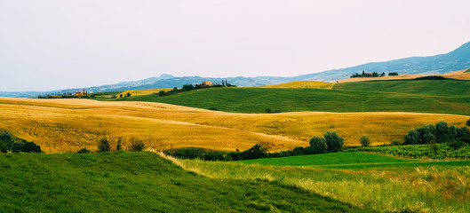 Obraz premium View of a autumn day in the Italian rural landscape. Unique tuscany landscape in fall time. Wave hills, cypresses trees and cloudy sky. Vintage tone filter effect.