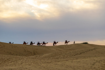 Fototapeta na wymiar Sam Sand Dunes, Jaisalmer, Rajasthan, India; 24-Feb-2019; camel caravan ride in Thar desert, Jaisalmer, Rajasthan, India